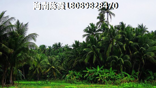 棠悦名筑3室2厅1厨2卫建面98.00㎡