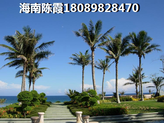 星荟云庭周边配套